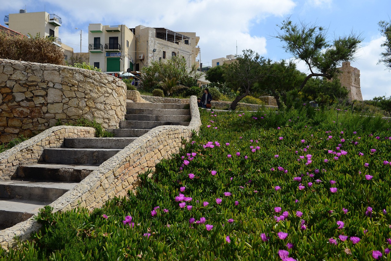 Malta, Gozo, Laiptai, Palaipsniui, Pastatas, Žalias, Violetinė, Gėlės, Žolė, Medžiai