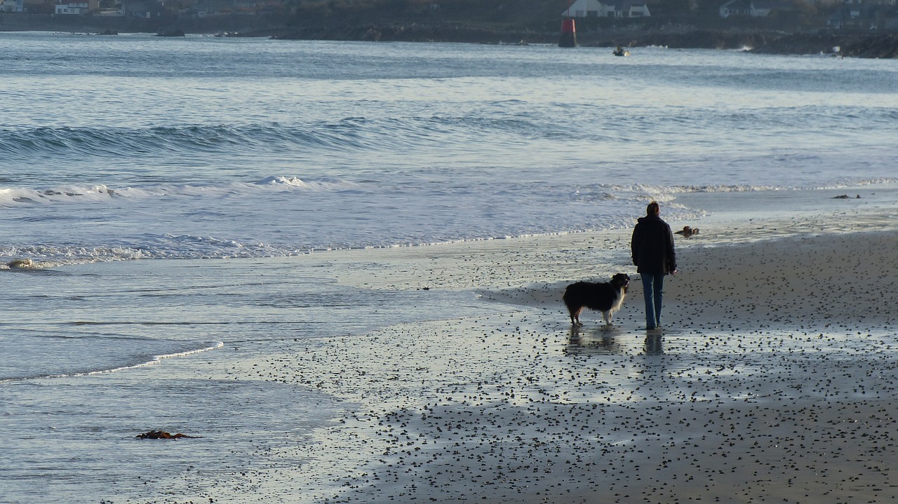 Vyras Ir Šuo, Žmogus Paplūdimyje, Šuo Paplūdimyje, Nemokamos Nuotraukos,  Nemokama Licenzija