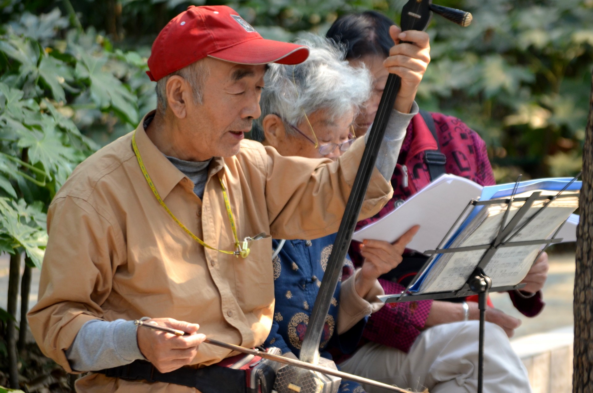 Erhu,  Kinų & Nbsp,  Instrumentas,  String & Nbsp,  Priemonė,  Eilutė,  Muzika,  Kinija,  Kultūra,  Žaisti