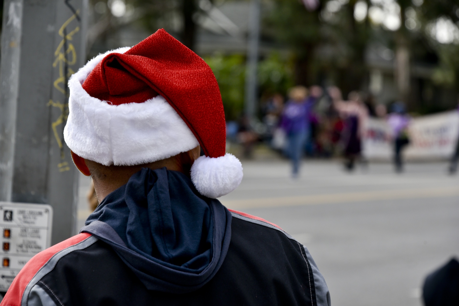 Santa,  Skrybėlę,  Vyras,  Paradas,  Žiūrėti,  Vyras Stebina Paradą, Nemokamos Nuotraukos,  Nemokama Licenzija