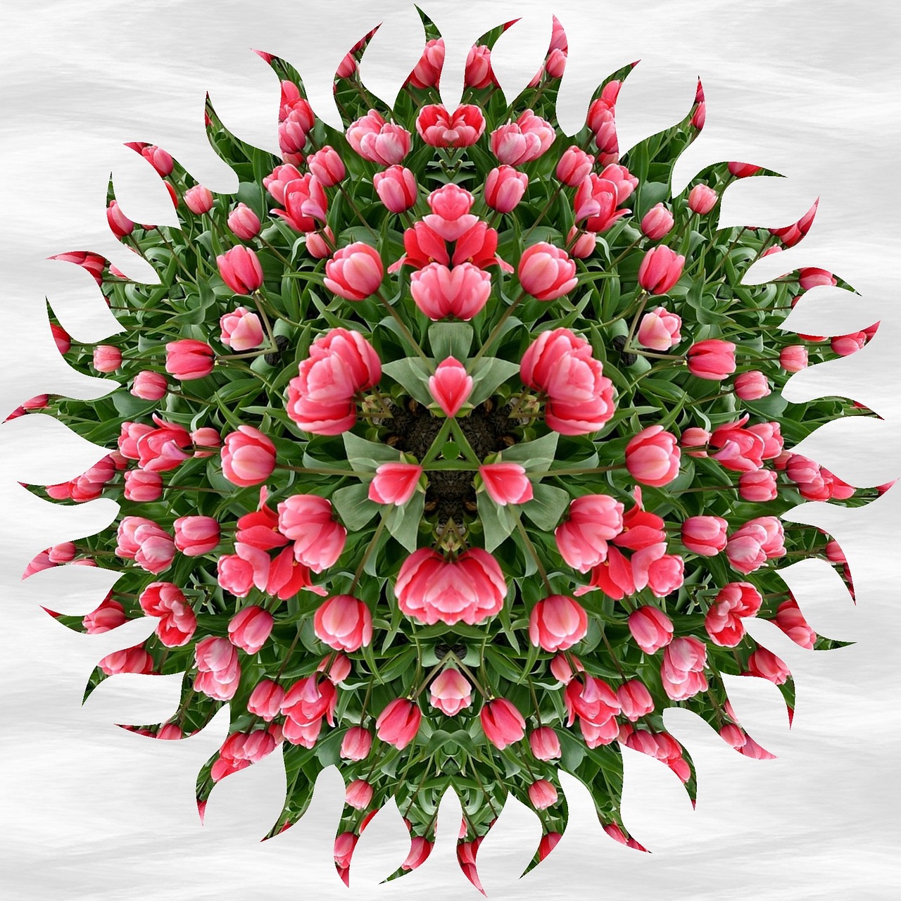 Mandala, Modelis, Tulpės, Ornamentas, Dekoratyvinis, Gėlių, Gėlės, Kaleidoskopas, Gėlių Ornamentas, Deko