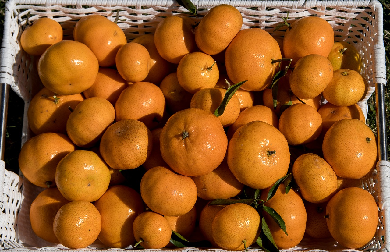 Mandarinai, Citrusiniai, Vaisiai, Derlius, Oranžinė, Sveikas, Šviežias, Pagaminti, Krepšelis, Sultingas