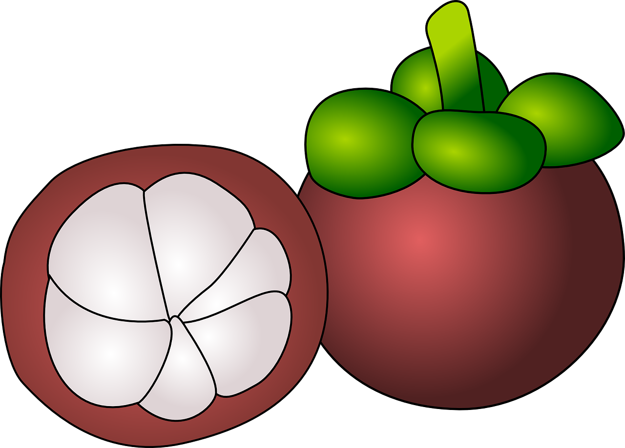 Mangostinas, Vaisiai, Violetinė, Supjaustyti, Atviras, Mėsingas, Saldus, Nemokama Vektorinė Grafika, Nemokamos Nuotraukos,  Nemokama Licenzija