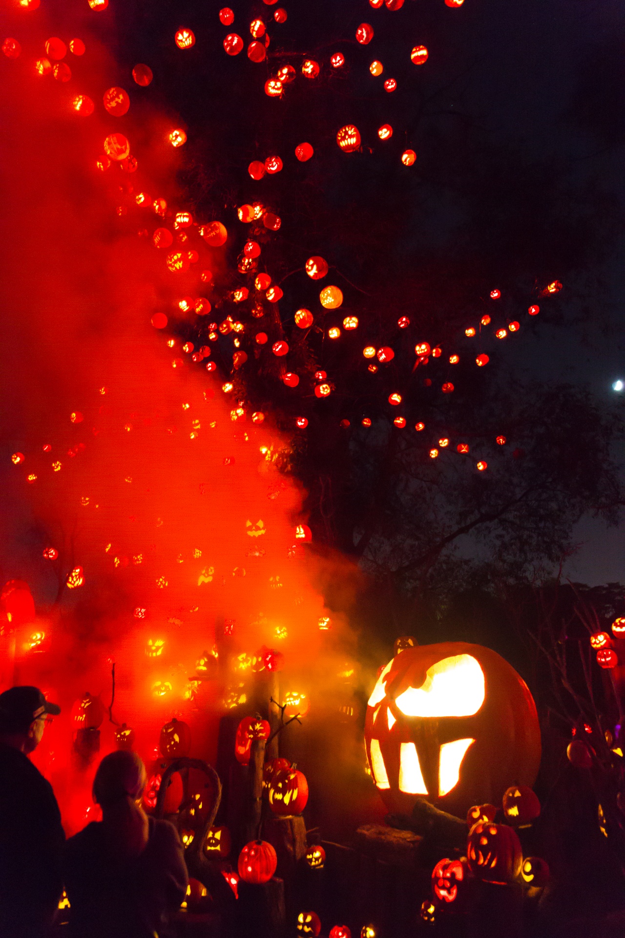 Ruduo,  Juoda,  Raižyti,  Tamsi,  Veidas,  Kritimas,  Grupė,  Halloween,  Šventė,  Lizdas & Nbsp