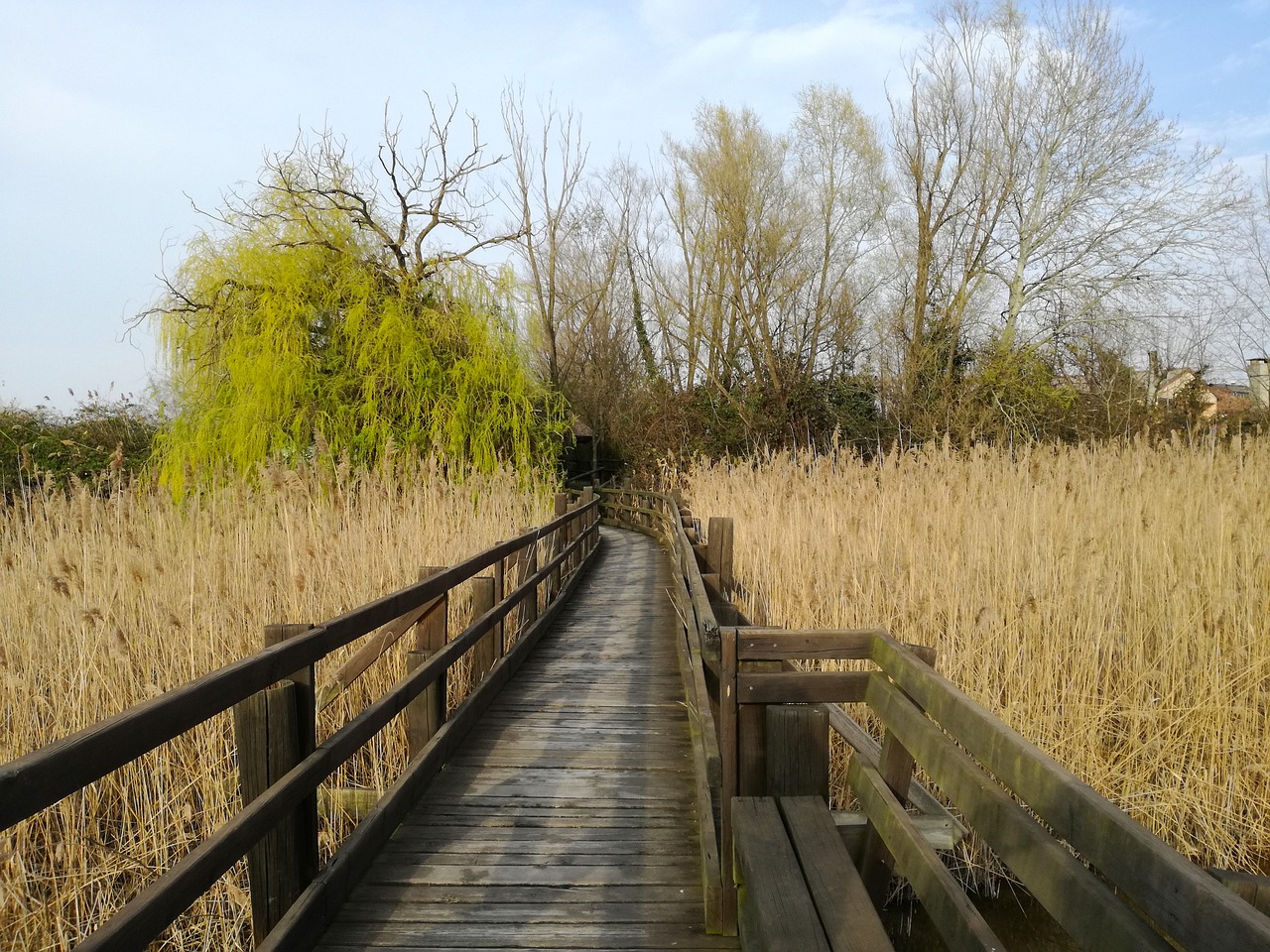 Marano Lagunare, Laguna, Venetian Lagūnas, Canneto, Nemokamos Nuotraukos,  Nemokama Licenzija