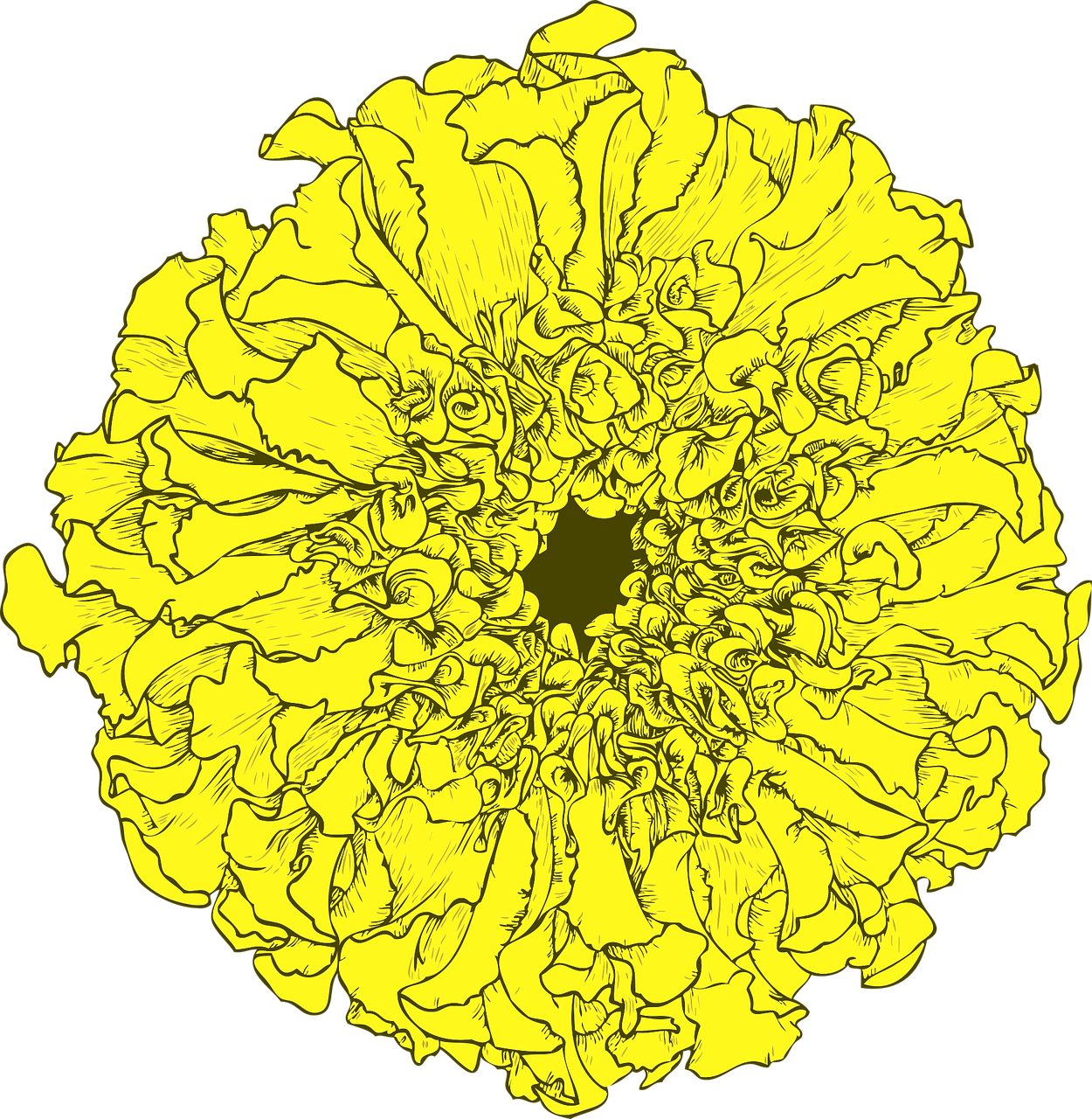 Marigoldas, Tagetes, Gėlė, Geltona, Meksikietis, Mirusiųjų Diena, Apdaila, Nemokama Vektorinė Grafika, Nemokamos Nuotraukos,  Nemokama Licenzija