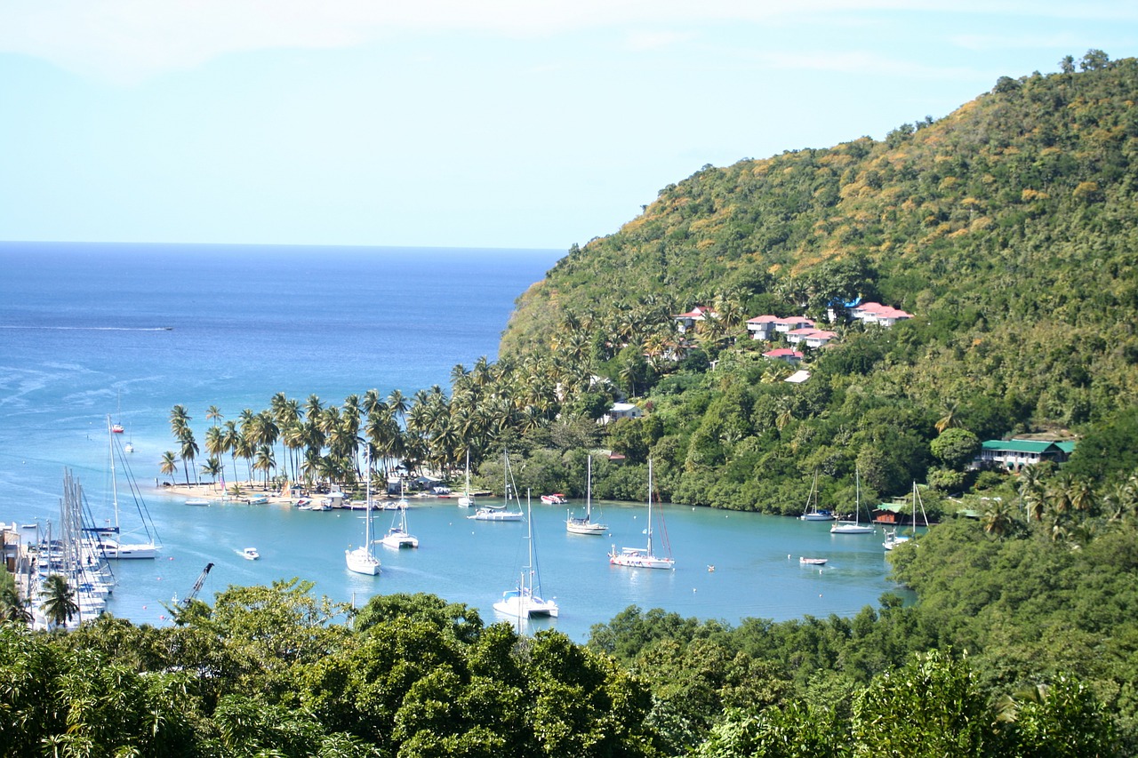 Marigot Bay, St Lucia, Kraštovaizdis, Sala, Karibai, Boot, Jūra, Palmės, Papludimys, Vanduo