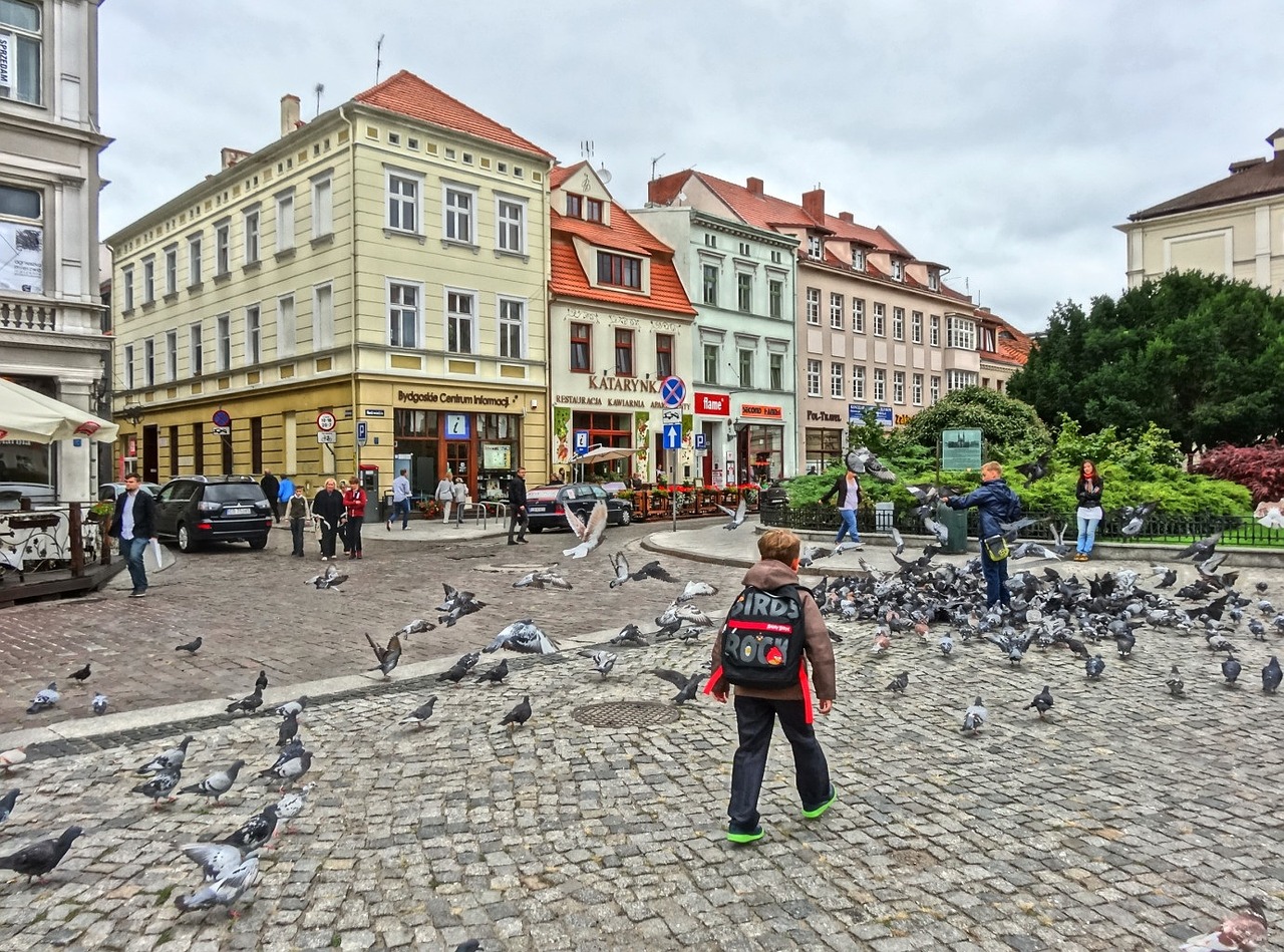 Turgaus Aikštė, Bydgoszcz, Balandžiai, Balandžiai, Flock, Paukščiai, Vaikas, Vaikas, Nemokamos Nuotraukos,  Nemokama Licenzija