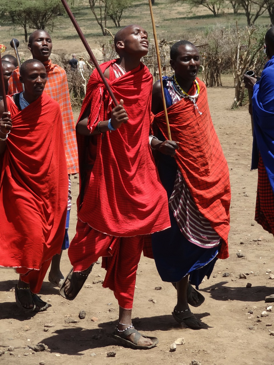 Masai, Šokiai, Raudona, Mėlynas, Nemokamos Nuotraukos,  Nemokama Licenzija