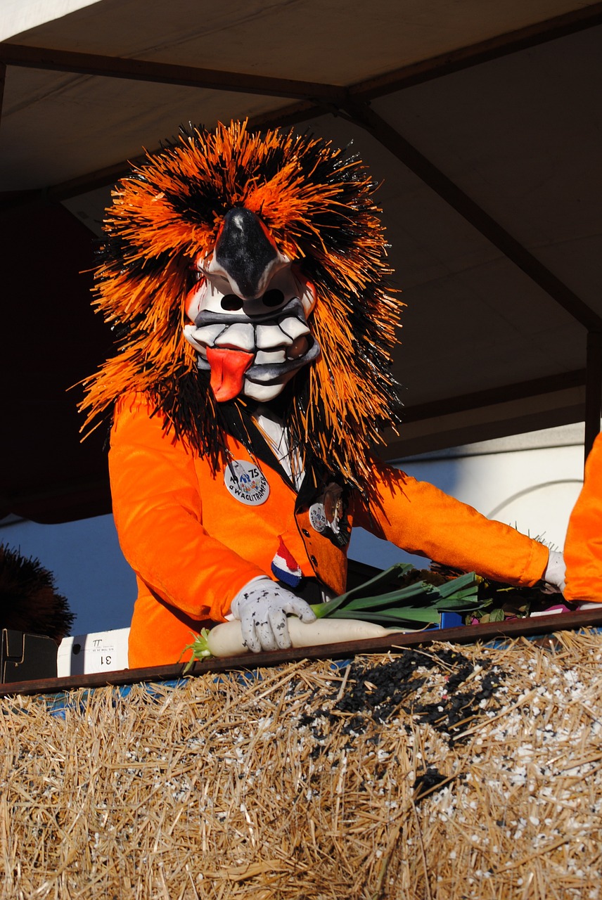 Kaukė,  Waggis,  Karnavalas,  Basel Fasnacht 2015, Nemokamos Nuotraukos,  Nemokama Licenzija