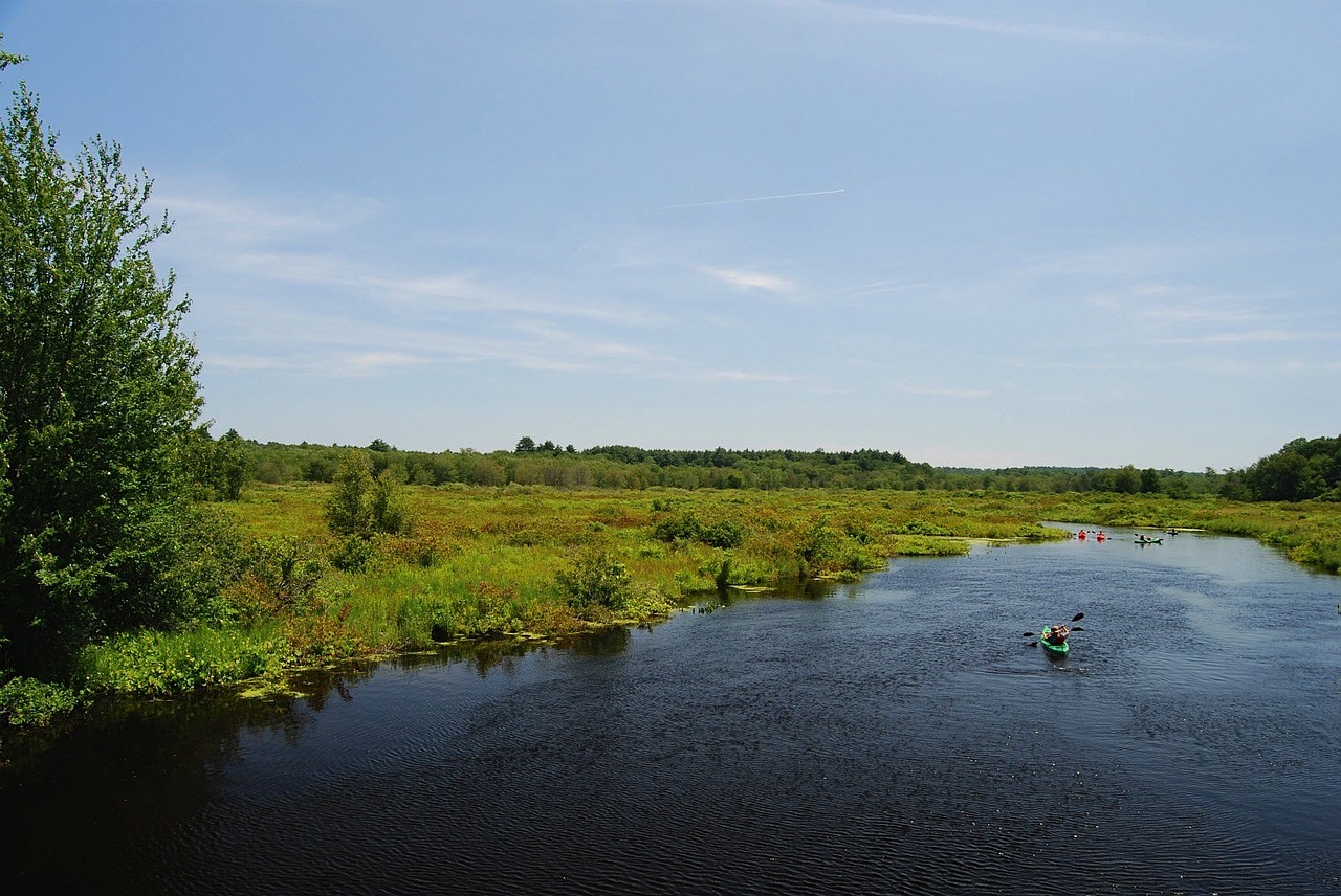 Massachusetts, Kraštovaizdis, Charles, Upė, Kayakers, Baidarių, Poilsis, Vanduo, Apmąstymai, Medžiai