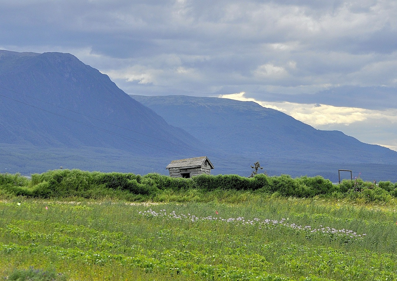 Matanuska, Slėnis, Palmeras, Alaska, Shack, Kraštovaizdis, Dykuma, Peizažas, Natūralus, Laukiniai