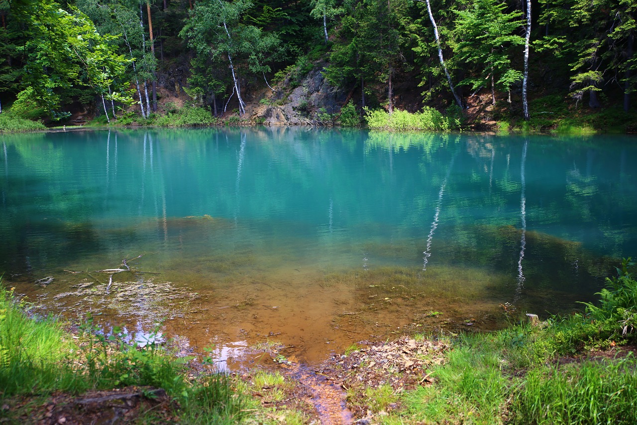 Mati, Gamta, Monolitinė Vandens Dalis, Medis, Parkas, Teismo Posėdyje, Ežeras, Vanduo, Tvenkinys, Miškas