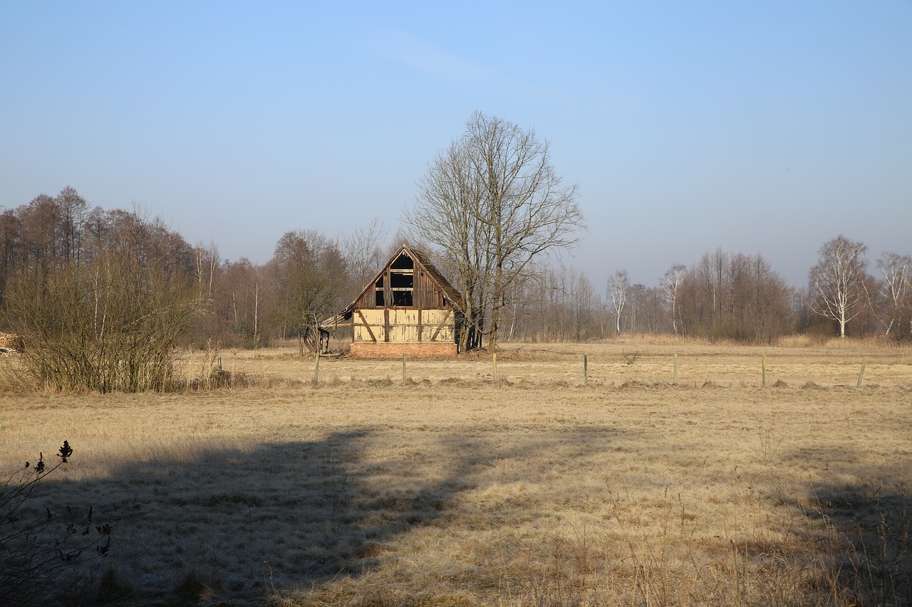 Mati, Tvartas, Ūkis, Laukas, Kaimas, Žolė, Pieva, Shed, Namas, Medinis Namas