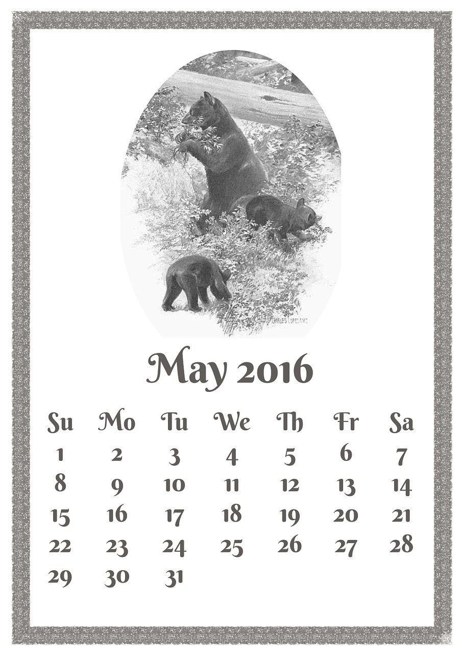 Gegužė, 2016, Kalendorius, Turėti, Be Cub, Cub, Juoda, Balta, Pilka, Vintage