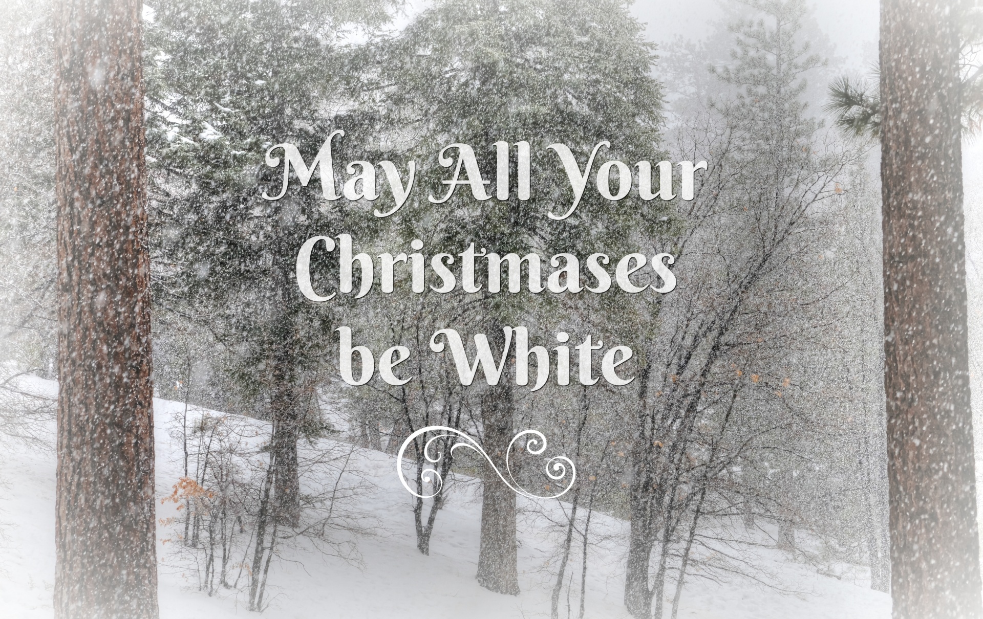 Kalėdos,  Xmas,  Balta,  Miškas,  Sniegas,  Žiema,  Sniegas,  Balta & Nbsp,  Kalėdos,  Pasveikinimas