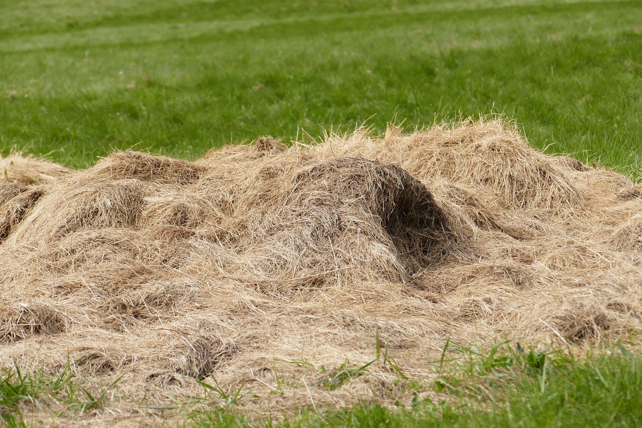 Haystack, Pieva, Šienas, Krūva, Naminių Gyvūnėlių Maistas, Romantiškas, Alpių Pievos, Nemokamos Nuotraukos,  Nemokama Licenzija