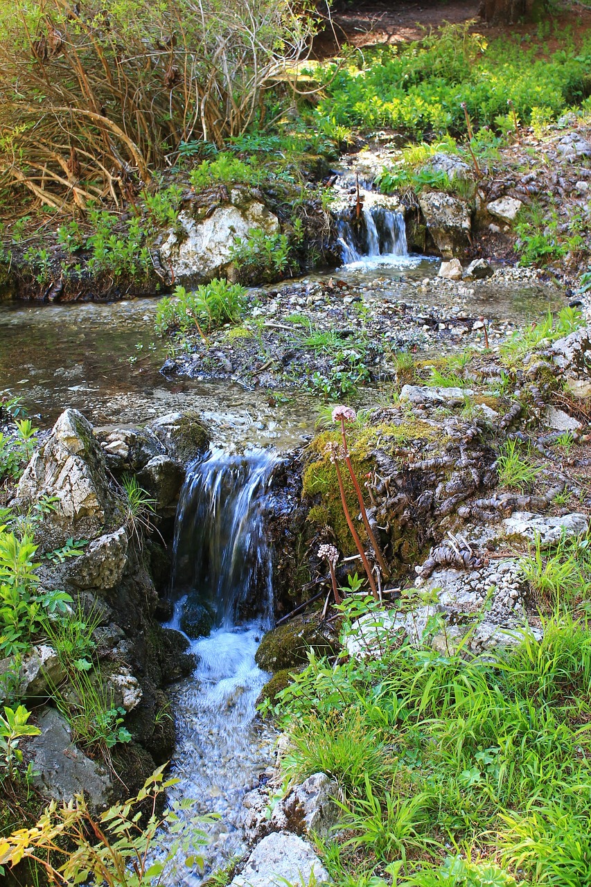 Pieva, Žolė, Bachas, Vanduo, Augalas, Gamta, Žalias, Žolės Mentė, Skubėti, Akmenys