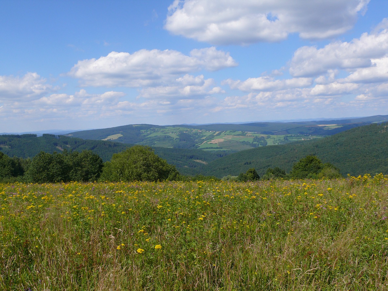 Pieva, Gamta, Čekų, Nemokamos Nuotraukos,  Nemokama Licenzija