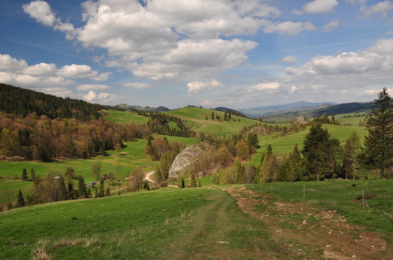 Pieva, Gamta, Vaizdas, Kraštovaizdis, Žalias, Kalnai, Pieninis, Pavasaris, Atostogos, Žygių Takas