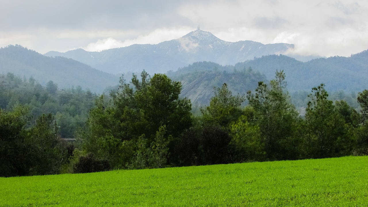 Pieva, Medžiai, Kraštovaizdis, Kalnas, Kalnų Peizažas, Gamta, Miškas, Peizažas, Žiema, Troodos