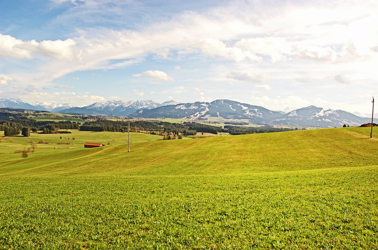 Pieva, Alpių, Kalnai, Kraštovaizdis, Gamta, Allgäu, Miškas, Allgäu Alpės, Karvės, Bavarija
