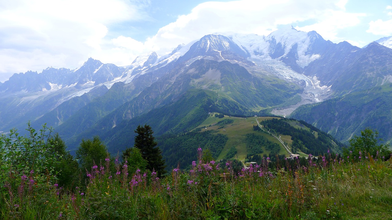 Pieva, Alpe, Hautes Alpes, Kraštovaizdis, Gamta, Vasara, Savoie, Dangus, Kalnas, Gėlės