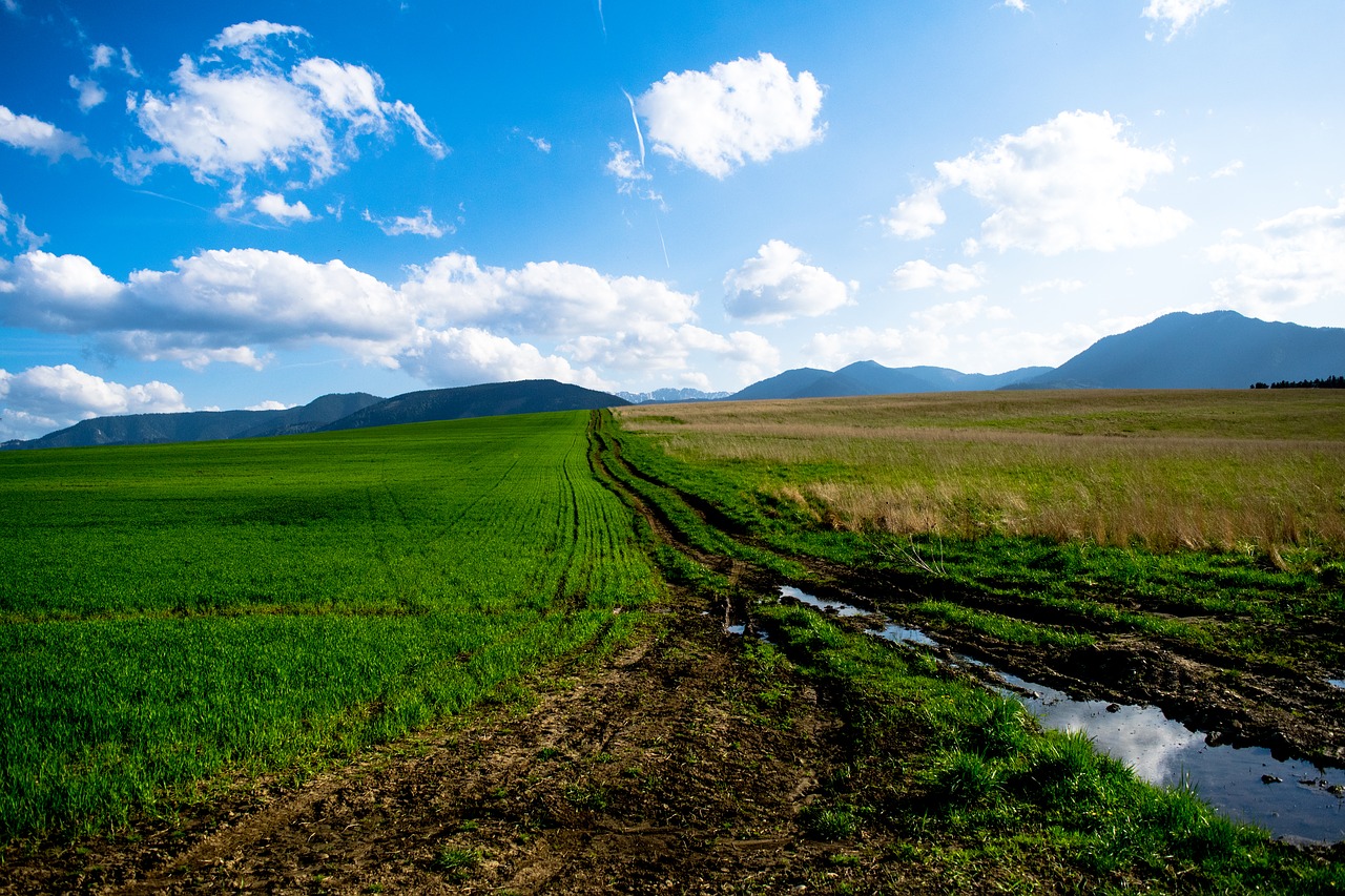 Meadow,  Dangus,  Dangus,  Pobūdį,  Debesys,  Balutę,  Baseinas,  Vandens,  Purvo,  Laukas