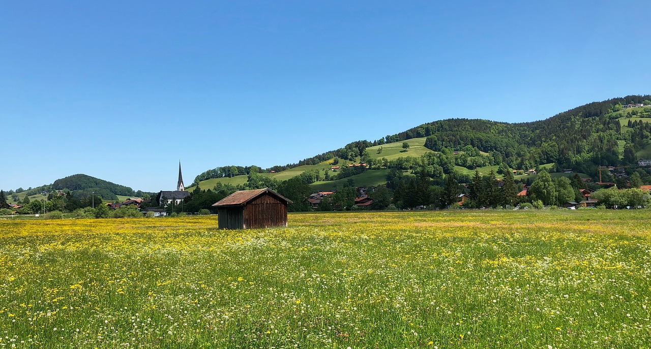 Meadow,  Pobūdį,  Kraštovaizdis,  Žolė,  Žalias,  Gėlės,  Vasara,  Floros,  Hill,  Debesys