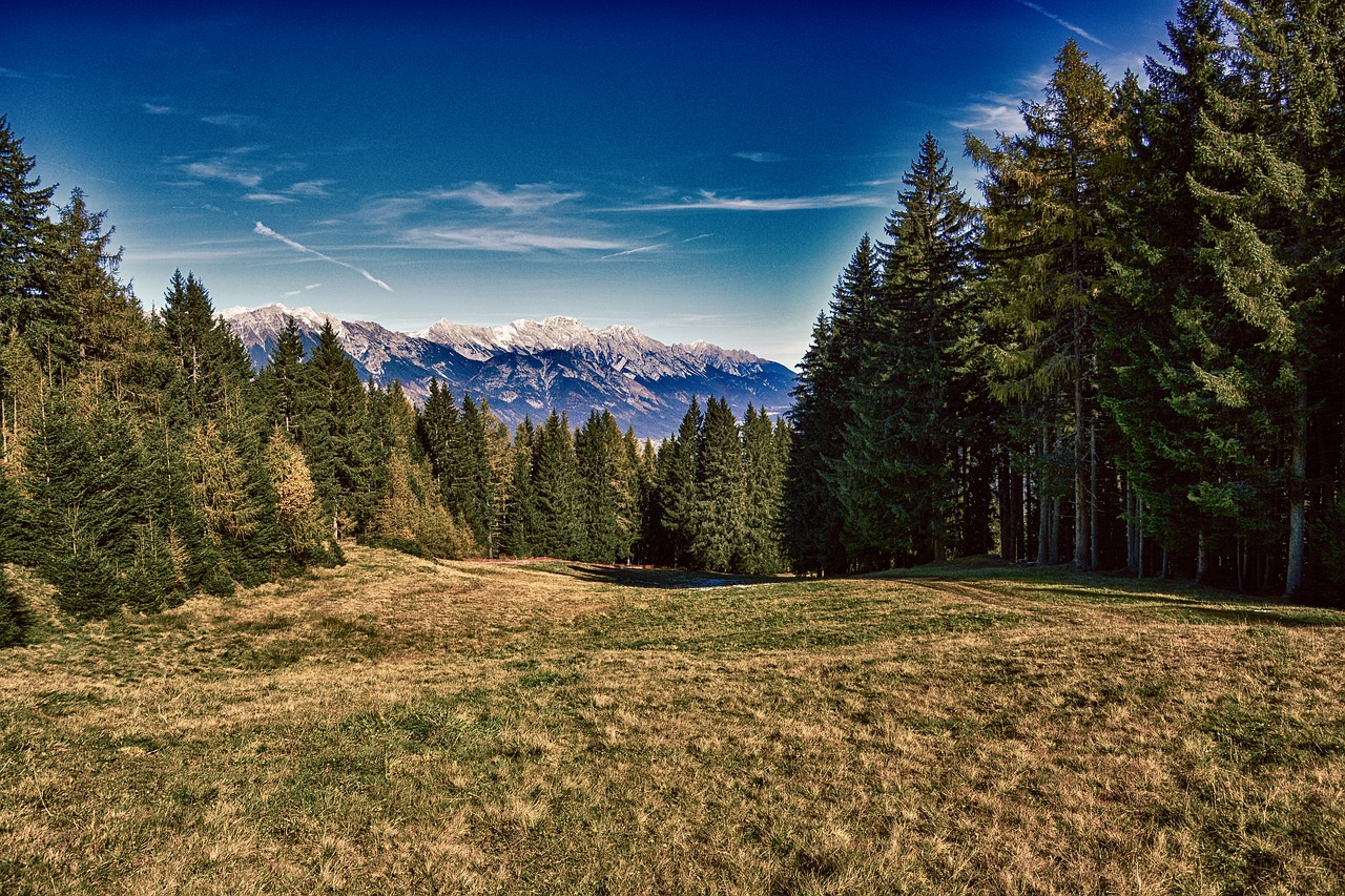 Meadow,  Miškas,  Kalnai,  Pobūdį,  Kraštovaizdis,  Tyrol, Nemokamos Nuotraukos,  Nemokama Licenzija