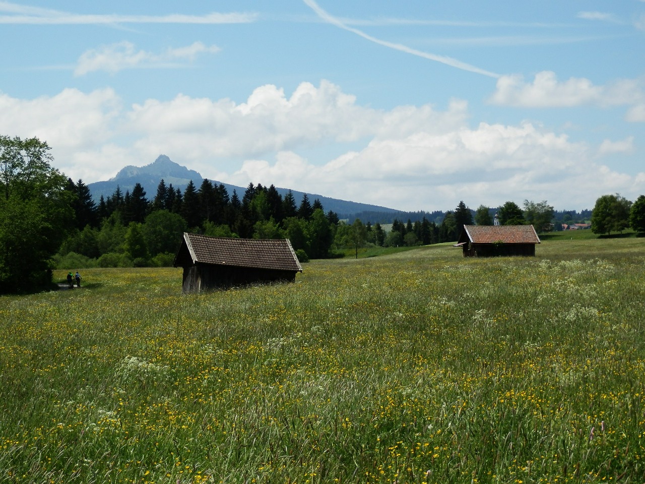 Pieva, Allgäu, Apželdintas, Panorama, Kalnai, Gėlės, Medžiai, Gamta, Dangus, Kraštovaizdis