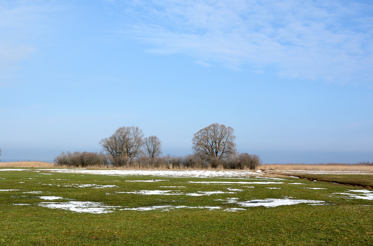 Pieva, Ganykla, Nendrė, Medžiai, Gamta, Mėlynas Dangus, Kraštovaizdis, Chiemgau, Dangus, Mėlynas