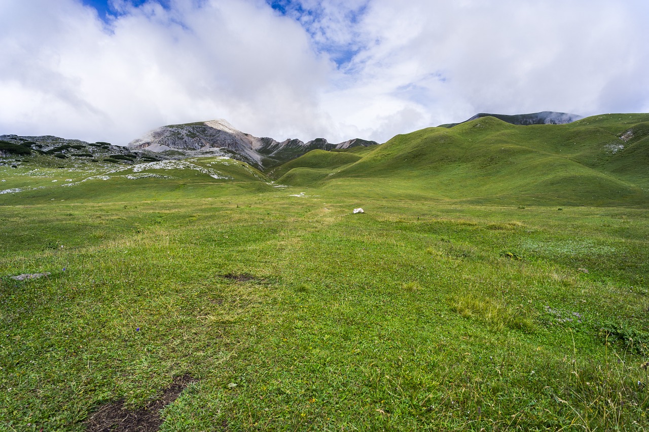 Pieva, Kalvos, Highlands, Kraštovaizdis, Gamta, Žalias, Lauke, Vasara, Laukas, Žolė