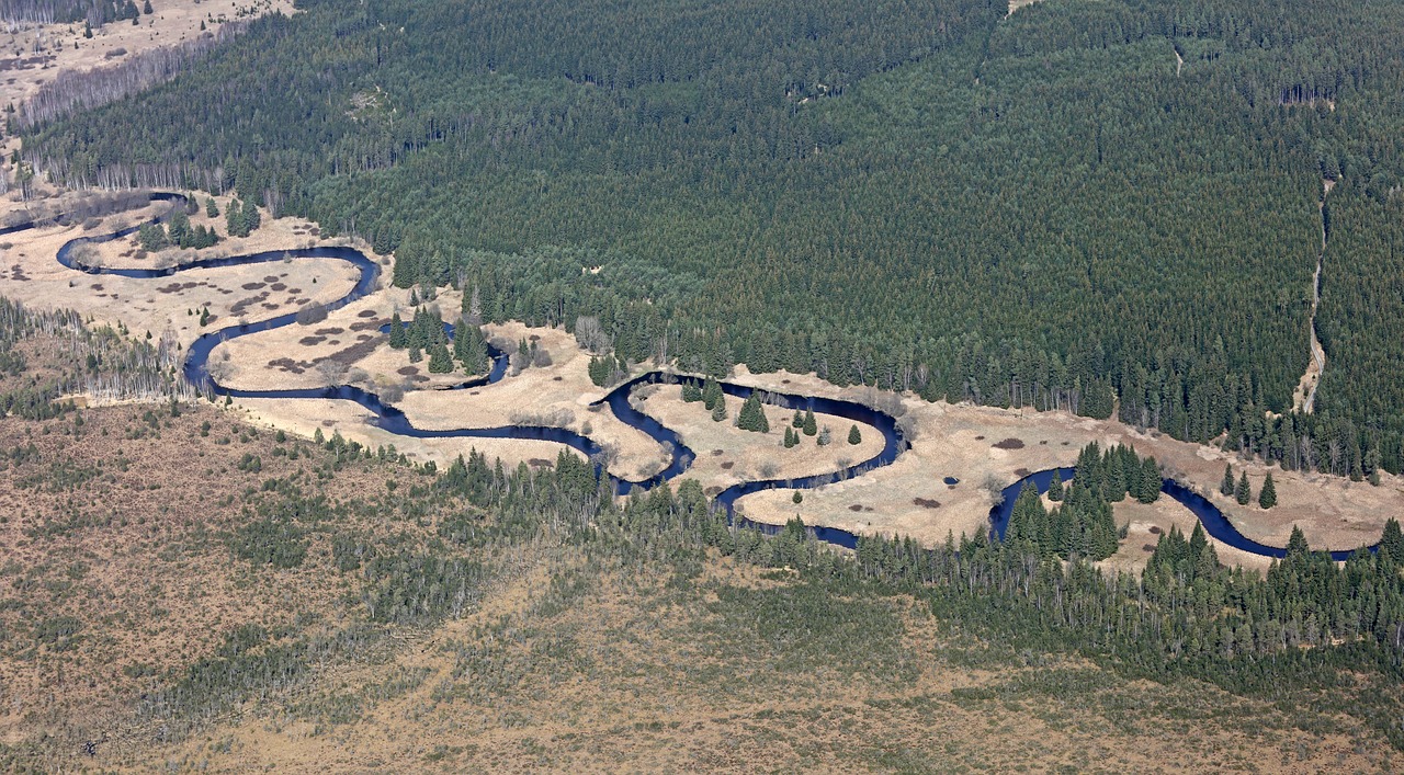 Meanders, Vltava, Šumava, Upė, Miškas, Vanduo, Gamta, Nemokamos Nuotraukos,  Nemokama Licenzija