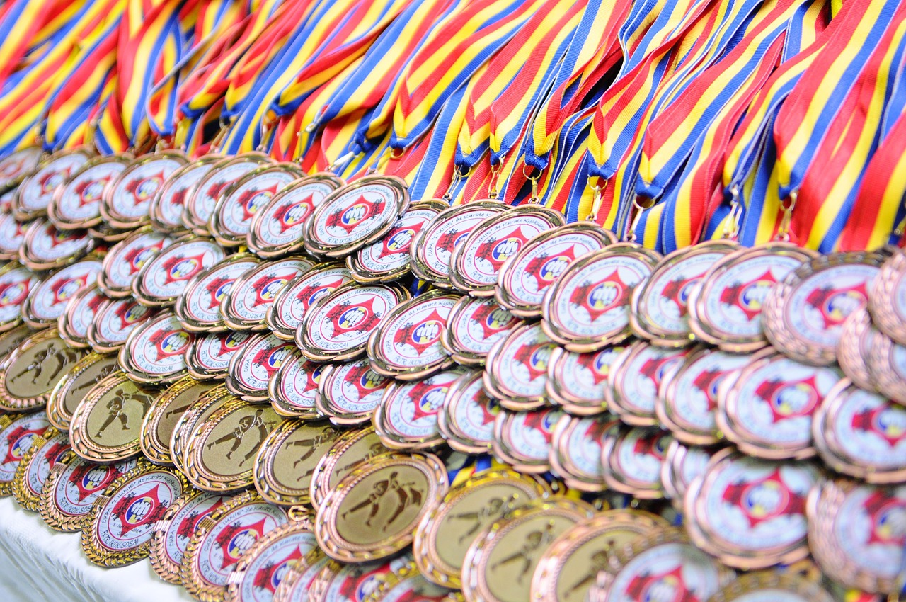 Medaliai, Karatė, Sportas, Kovinis, Auksas, Kovotojas, Sidabras, Kyokushin, Nemokamos Nuotraukos,  Nemokama Licenzija