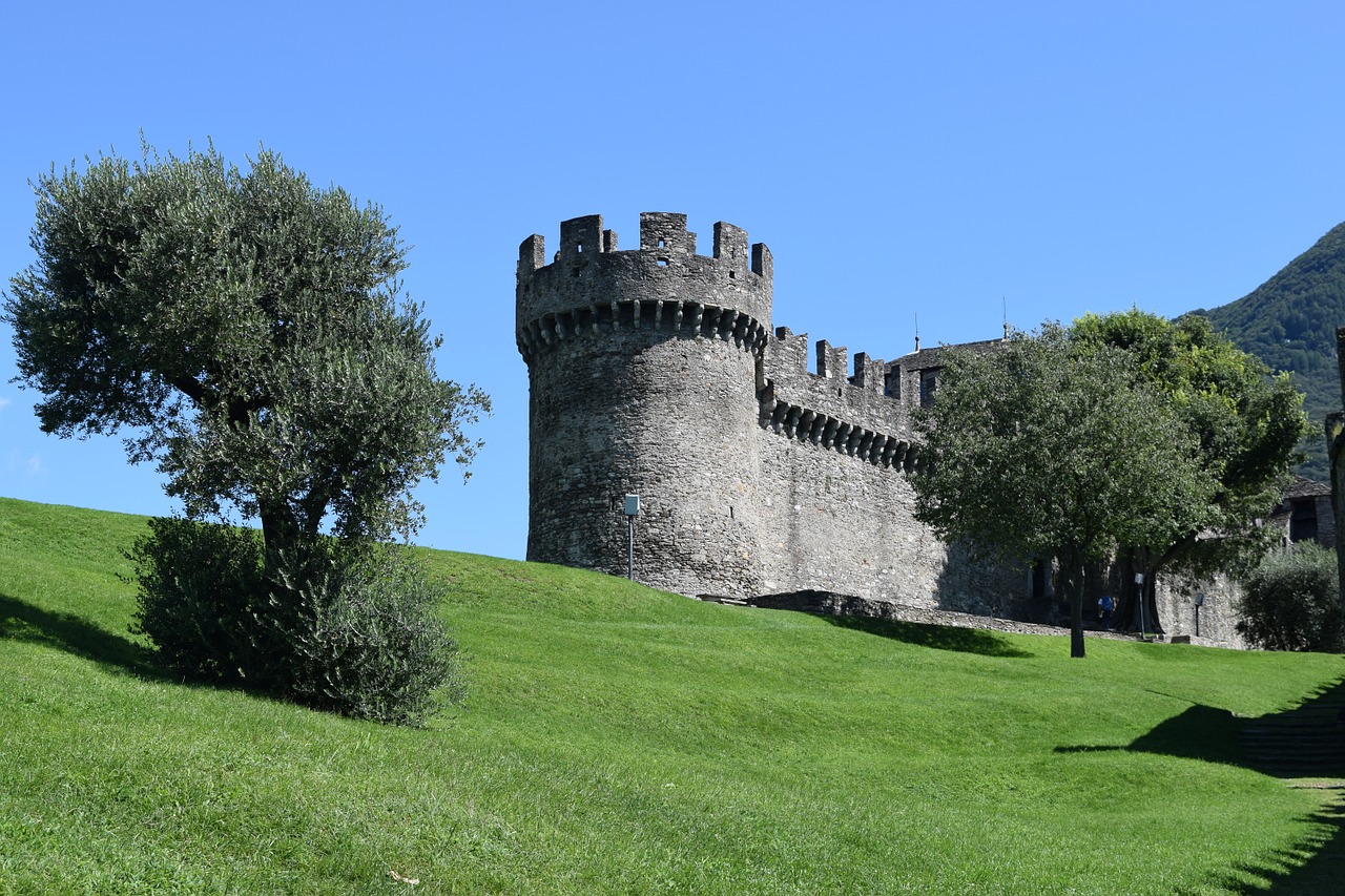 Viduramžių Bokštas, Torre, Bellinzona, Viduramžiai, Šveicarija, Kalnai, Gamta, Kraštovaizdis, Vasara, Pilis