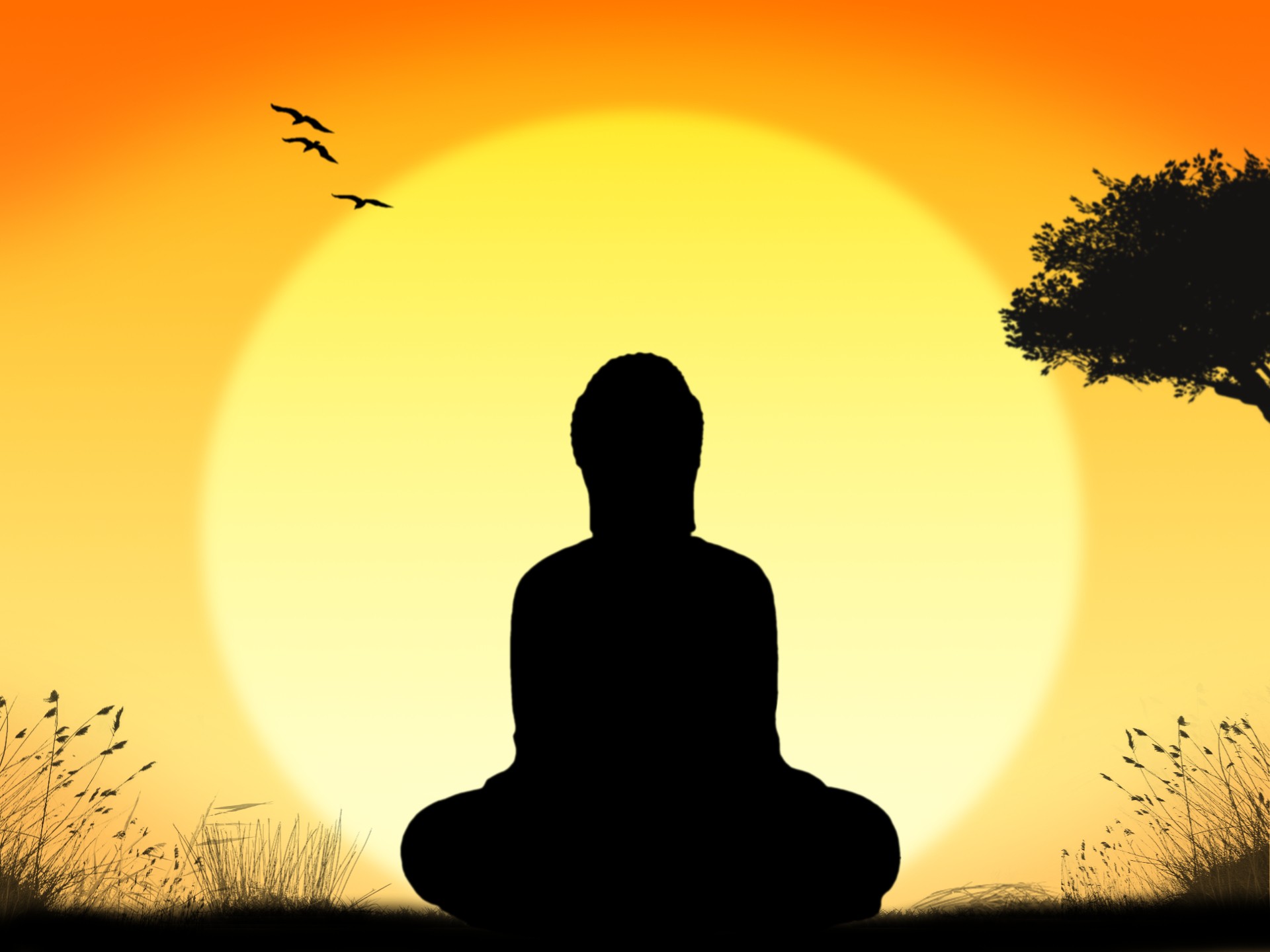 Buda,  Meditacija,  Saulėtekis,  Gamta,  Fonas,  Atsipalaiduoti,  Apšvietimas,  Ramus,  Taika,  Laimė