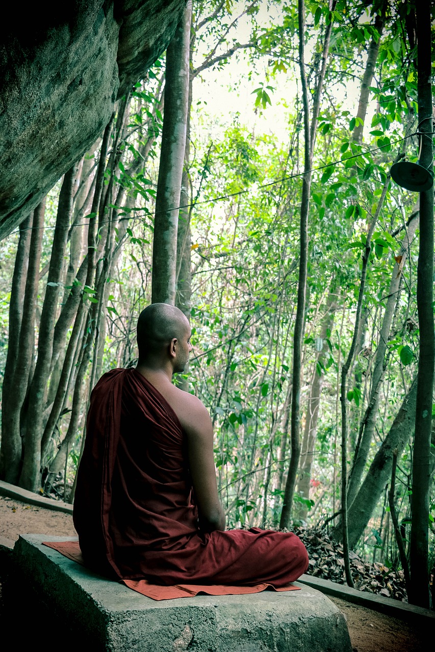 Meditacija, Bhikkhu, Mahamevnawa, Šri Lanka, Budistinis, Vienuolis, Nemokamos Nuotraukos,  Nemokama Licenzija