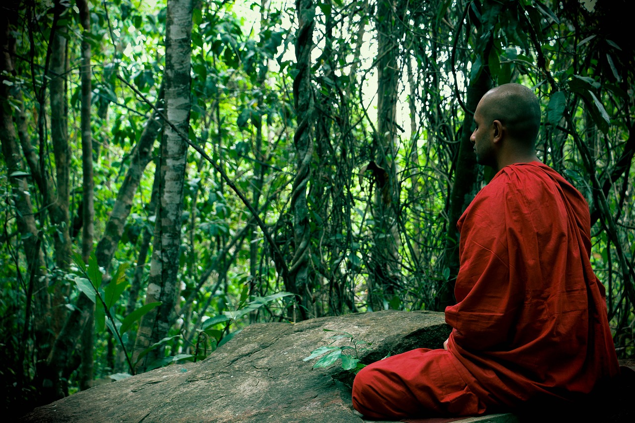 Meditacija, Bhikkhu, Mahamevnawa, Šri Lanka, Budistinis, Vienuolis, Nemokamos Nuotraukos,  Nemokama Licenzija