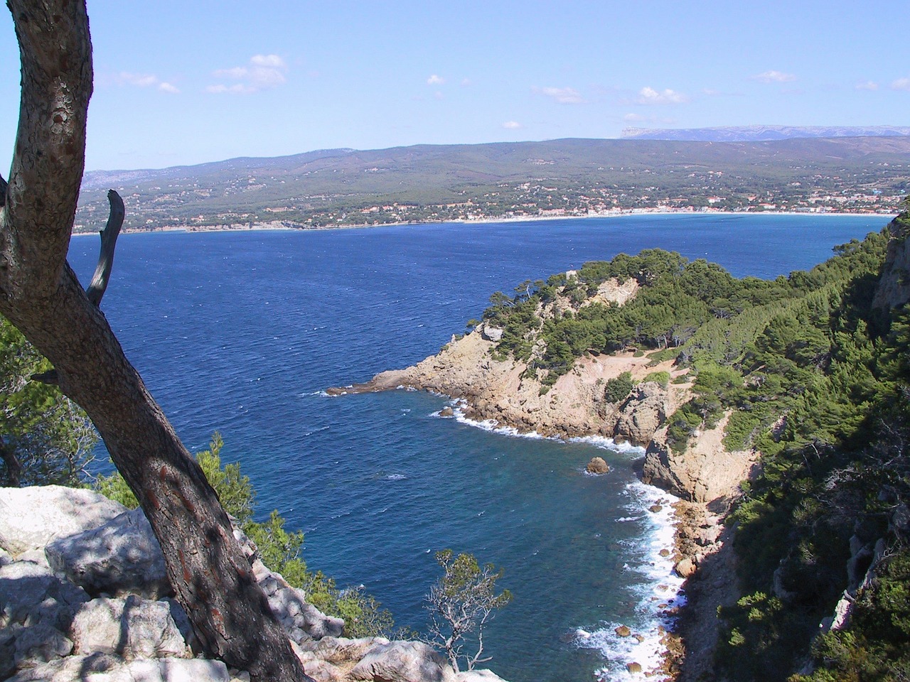 Viduržemio Jūros, Sentier Pakrante Jus, Jūra, Kranto, France, Côte Dazur, Dangus, Mėlynas, Pušis, Gamta