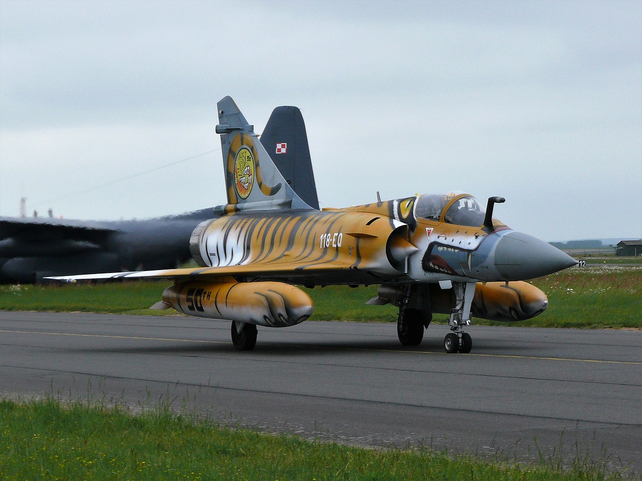 Susitikimas, Mirage 2000, Kambris, Tigras, Nemokamos Nuotraukos,  Nemokama Licenzija