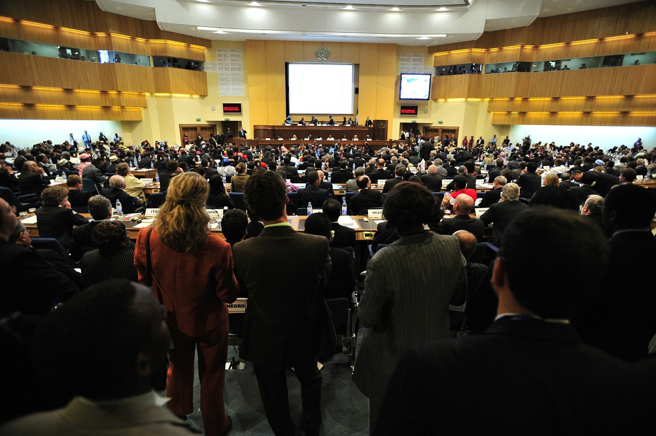 Susitikimas, Addis Ababa, Etiopija, Salė, Konferencija, Žmonės, Dalyviai, Kambarys, Interjeras, Dekoruoti