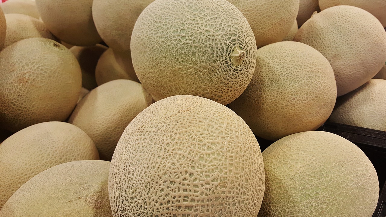 Melionas, Cantaloupe, Canteloupe, Ramunėlė, Saldus Melionas, Spanspek, Mushmelon, Persų Melionas, Vaisiai, Maistas