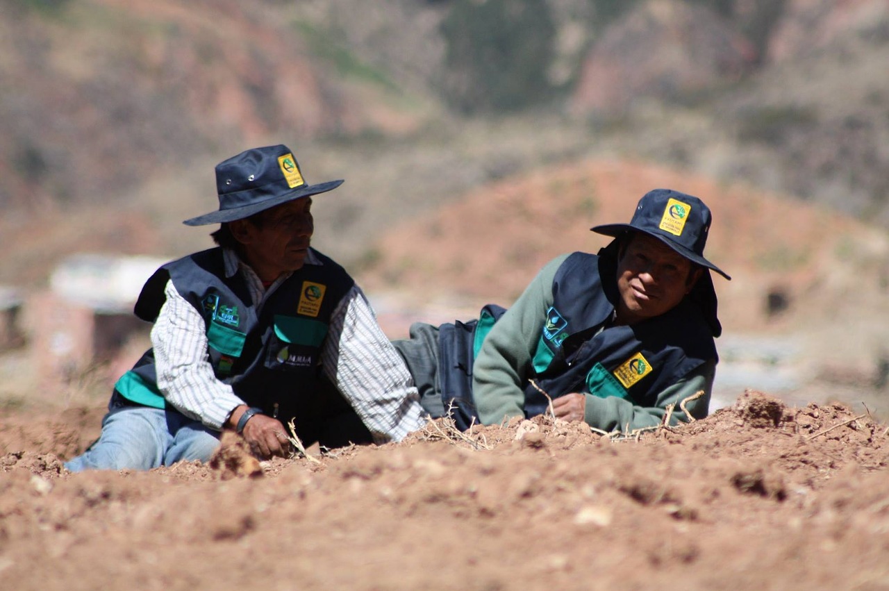 Vyrai,  Poilsio,  Ayma,  Taika,  Bolivija, Nemokamos Nuotraukos,  Nemokama Licenzija