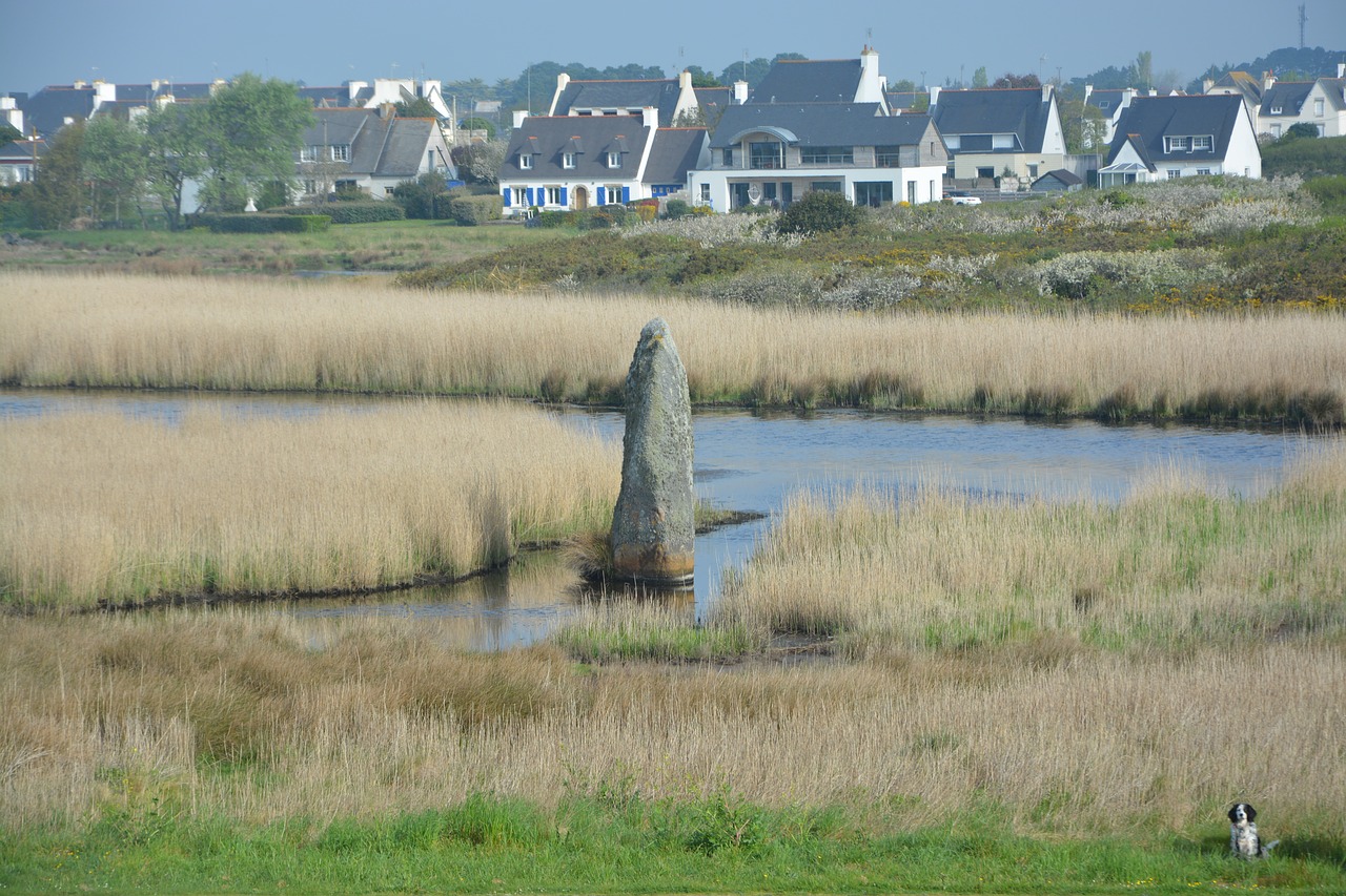 Menhir Auga,  Brittany,  Menhir,  Panoraminis Vaizdas,  Prancūzija,  Megalithe, Nemokamos Nuotraukos,  Nemokama Licenzija