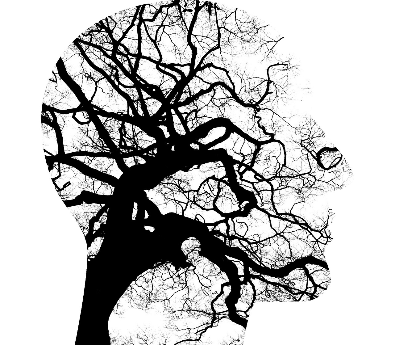 Psichinė Sveikata, Smegenys, Mąstymas, Medžių Šakos, Sutrikimas, Psichiatrija, Protinis, Neurologija, Stresas, Nerimas