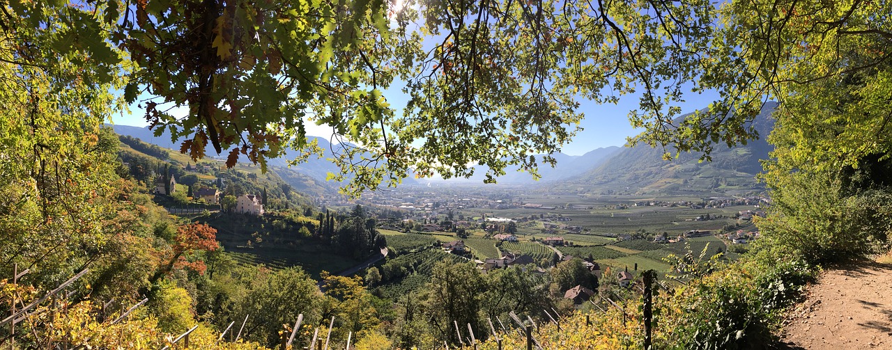 Meranas, South Tyrol, Italy, Šventė, Panorama, Dolomitai, Kalnai, Gamta, Vaizdas, Vynas