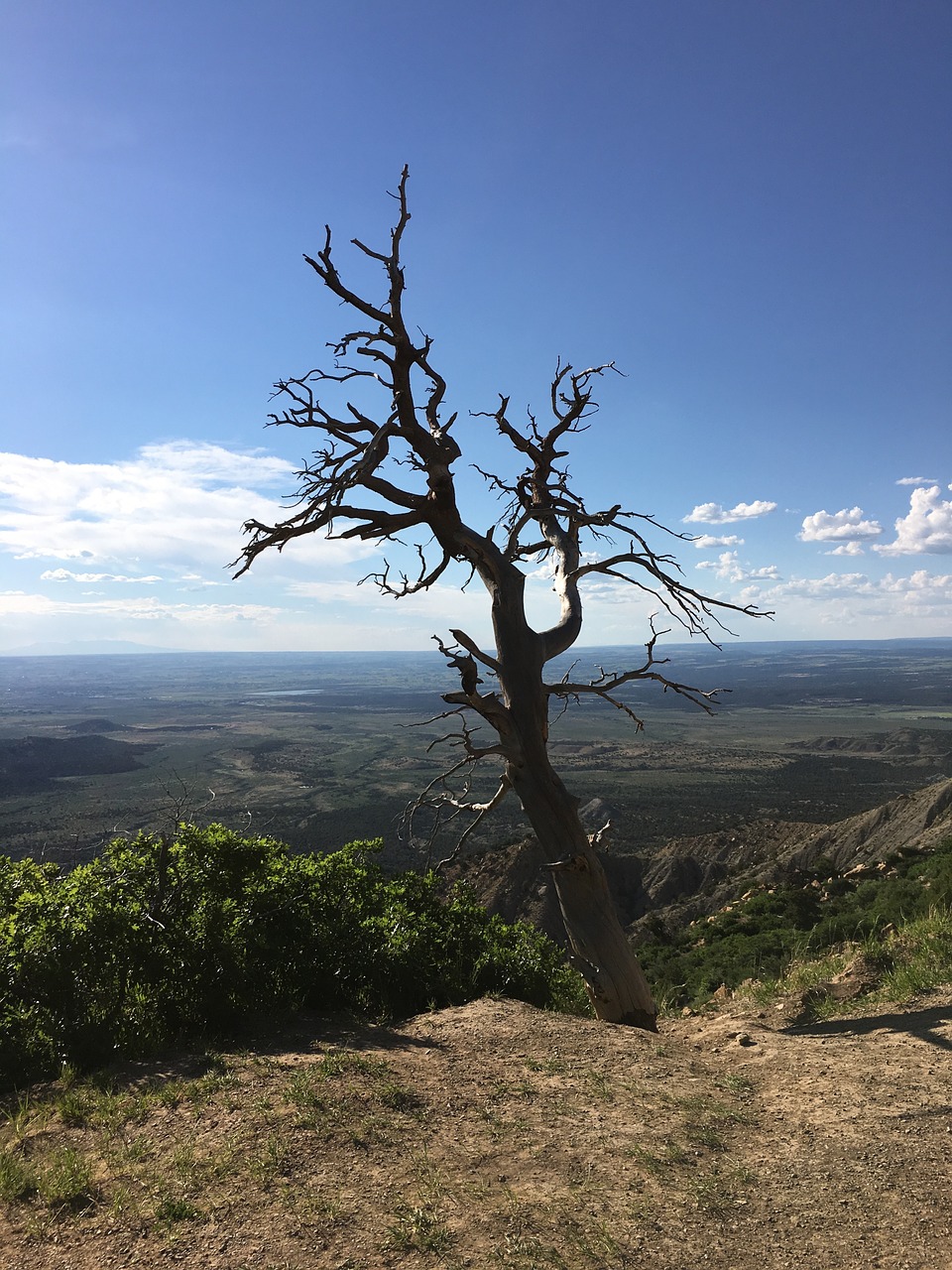 Mesa Verde, Colorado, Parkas, Uolos, Medis, Debesys, Vaizdas, Nemokamos Nuotraukos,  Nemokama Licenzija