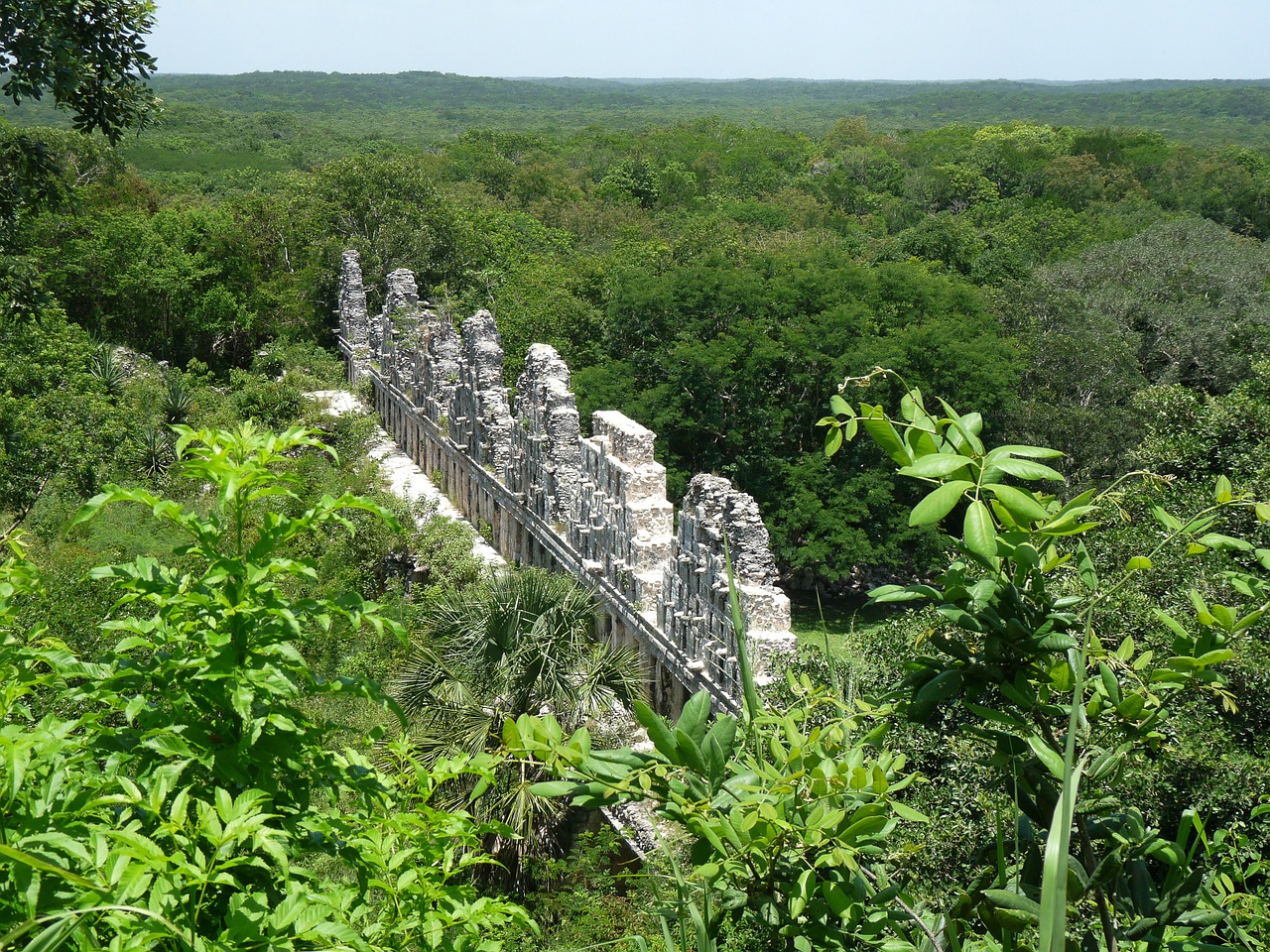 Meksika, Yukatanas, Maya, Griuvėsiai, Atogrąžų Miškai, Nemokamos Nuotraukos,  Nemokama Licenzija