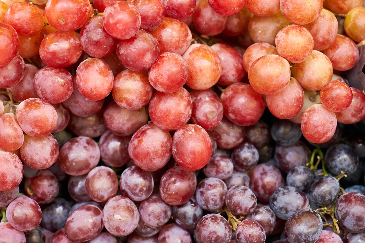 Meyce,  Raisin,  Maistas,  Raudonas Vynas,  Sveika Gyvensena,  Vitaminas,  Makro,  Sveika Mityba,  Sveikas Maistas,  Šviežias